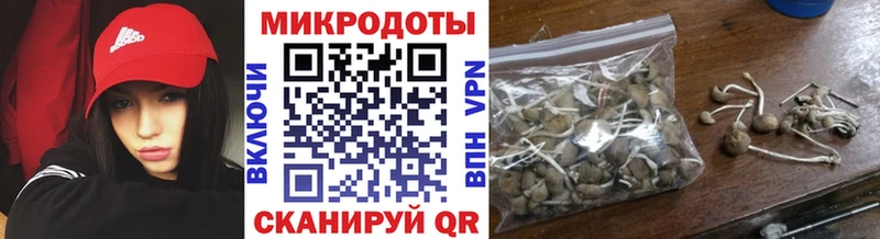 OMG ТОР  Макарьев  Галлюциногенные грибы GOLDEN TEACHER 